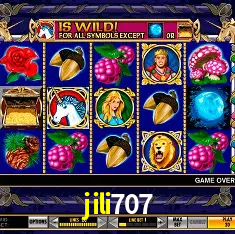 jili707 Rio de Janeiro - Bonus Terms